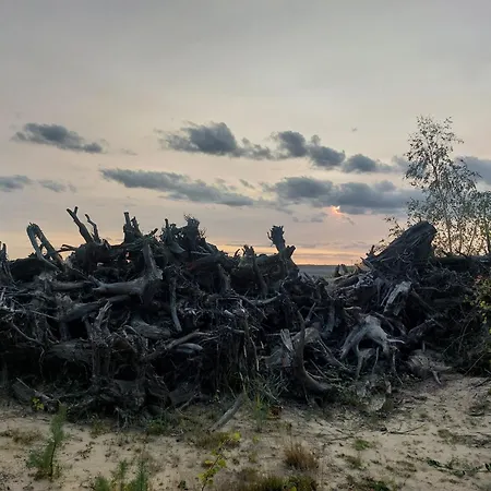 Bauwagen Gnubbel Am Jahnteich Kamp alanı